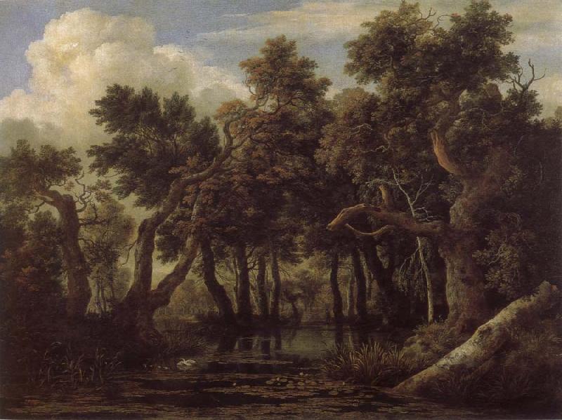 Jacob van Ruisdael Marsh in a Forest oil painting image